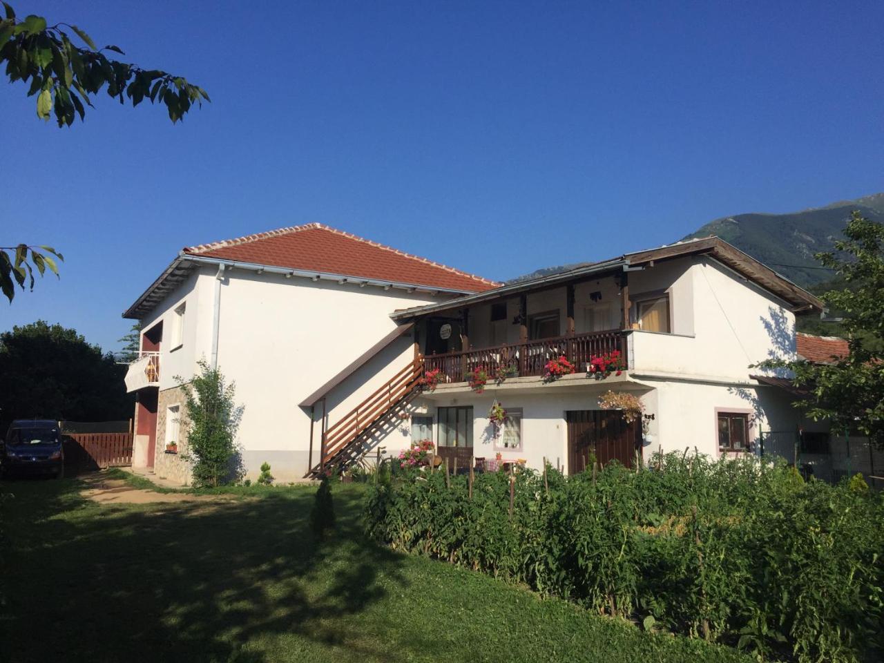 Kitka Hostel - Guest House Vratnica Exterior photo